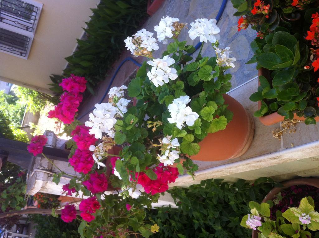 Besik Hotel Fethiye Kültér fotó